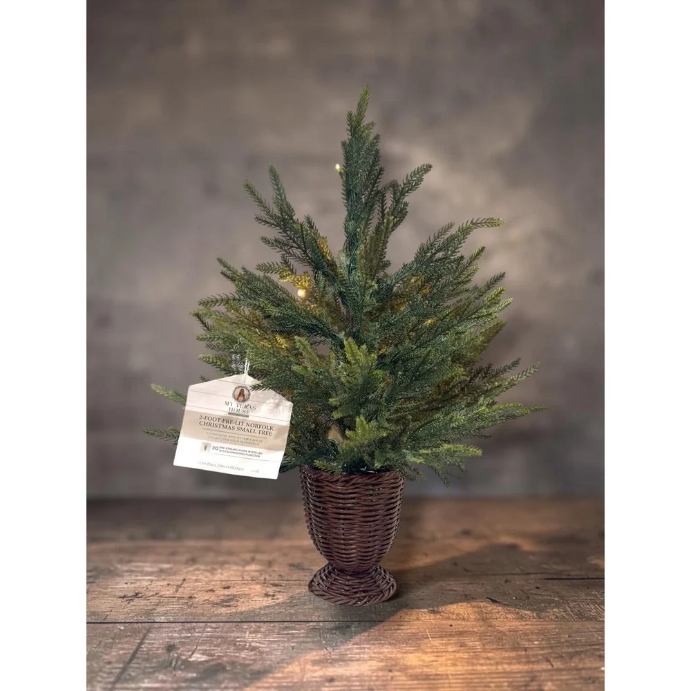 My Texas House 2' Pre-Lit Norfolk Pine Christmas Tree 30 Twinkle LEDs 2026